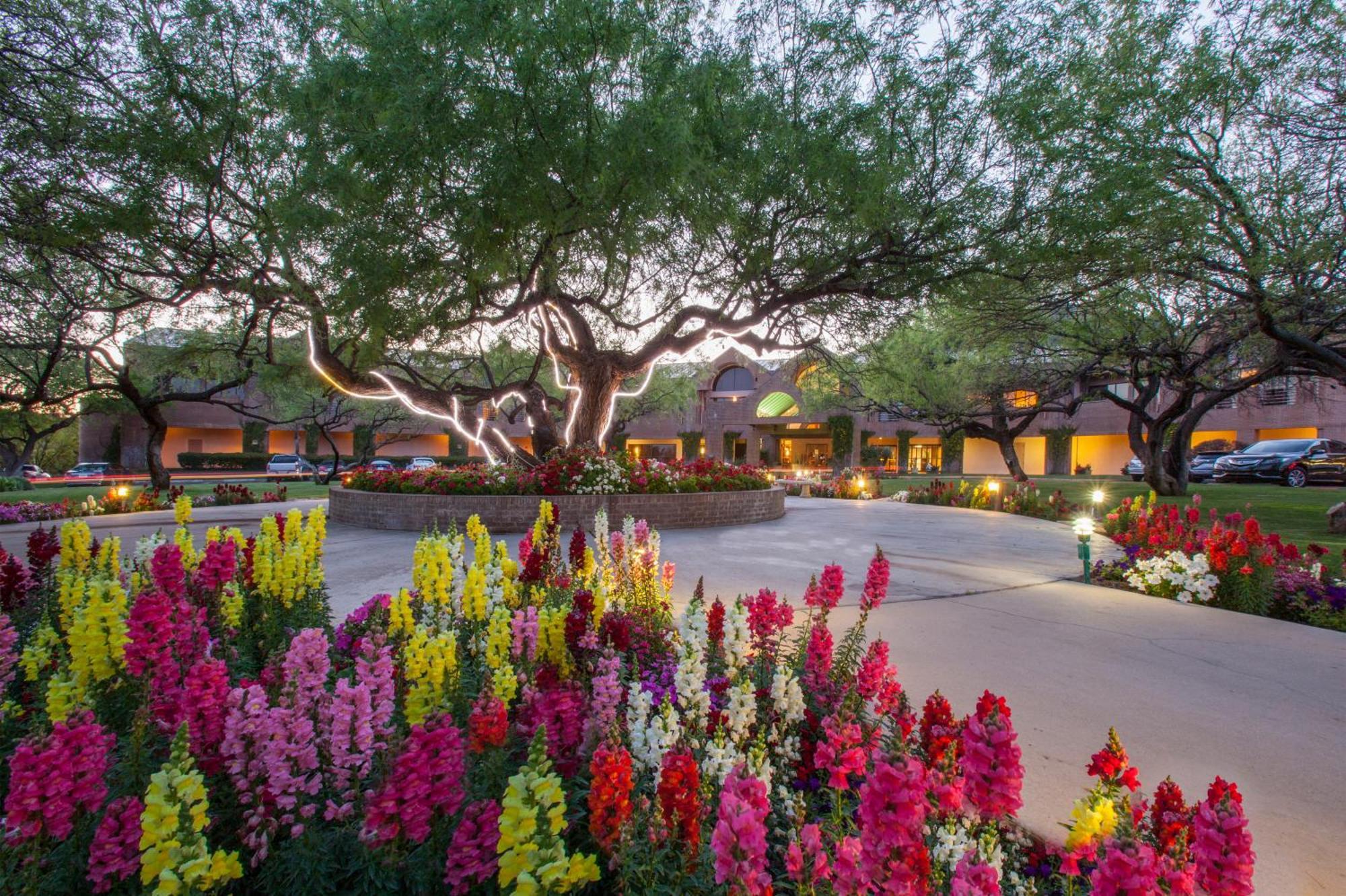 The Lodge At Ventana Canyon Mount Lemmont Esterno foto